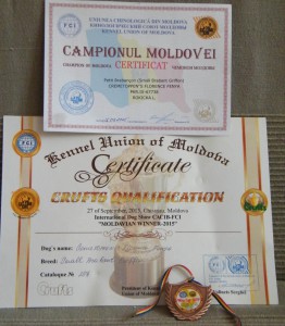 certyfikat Mołd.